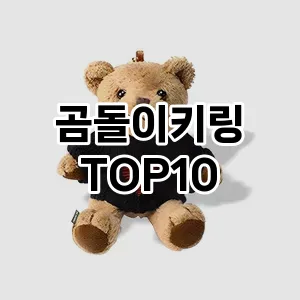 곰돌이키링 추천 순위  TOP10 구매가이드 2024년 12월 5주차