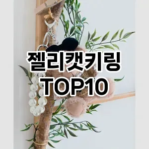 젤리캣키링 추천 순위  TOP10 구매가이드 2024년 12월 5주차