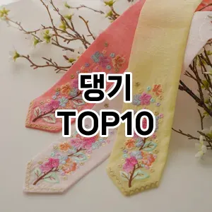 댕기 추천 순위  TOP10 구매가이드 2025년 1월 2주차
