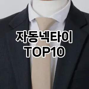 자동넥타이 추천 순위  TOP10 구매가이드 2025년 1월 2주차