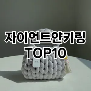 자이언트얀키링 추천 순위  TOP10 구매가이드 2025년 1월 3주차