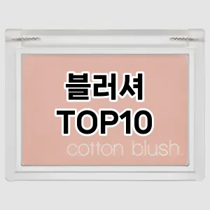 [추천소개]블러셔 추천 순위  TOP10 구매가이드 2025년 4월 1주차
