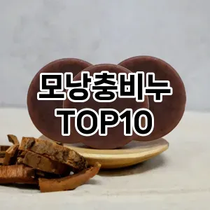 [리얼리뷰]모낭충비누 추천 순위  TOP10 구매가이드 2025년 7월 2주차