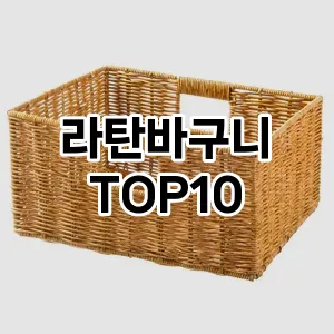 [눌러봐요]라탄바구니 추천 순위  TOP10 구매가이드 2025년 9월 1주차
