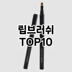 [레알핫템]립브러쉬 추천 순위  TOP10 구매가이드 2025년 8월 4주차