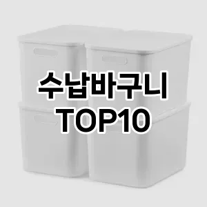 [강력추천]수납바구니 추천 순위  TOP10 구매가이드 2025년 9월 1주차