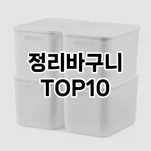 [솔직리뷰]정리바구니 추천 순위  TOP10 구매가이드 2025년 9월 1주차