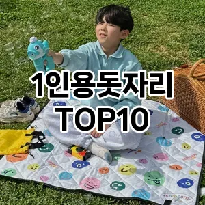 [리뷰리뷰]1인용돗자리 추천 순위  TOP10 구매가이드 2025년 10월 1주차