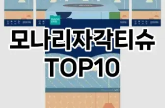 [솔직리뷰]모나리자각티슈 추천 순위  TOP10 구매가이드 2025년 10월 4주차