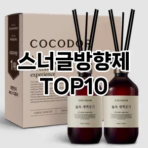 [핫딜안내]스너글방향제 추천 순위  TOP10 구매가이드 2025년 10월 4주차