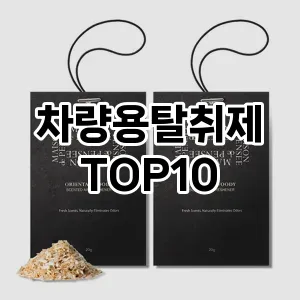 [추천특가]차량용탈취제 추천 순위  TOP10 구매가이드 2025년 10월 4주차