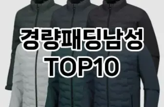 [리얼후기]경량패딩남성 추천 순위  TOP10 구매가이드 2025년 11월 2주차