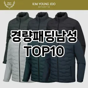[리얼후기]경량패딩남성 추천 순위  TOP10 구매가이드 2025년 11월 2주차