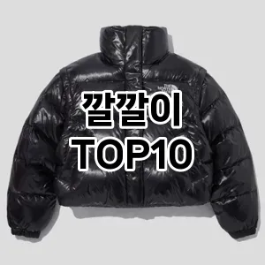 [대박할인]깔깔이 추천 순위  TOP10 구매가이드 2025년 11월 5주차