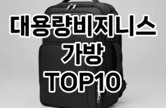 [할인제품]대용량비지니스가방 추천 순위  TOP10 구매가이드 2025년 11월 4주차