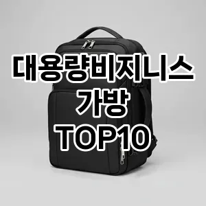 [할인제품]대용량비지니스가방 추천 순위  TOP10 구매가이드 2025년 11월 4주차