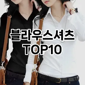 [리뷰리뷰]블라우스셔츠 추천 순위  TOP10 구매가이드 2025년 11월 5주차