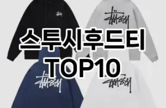 [추천특가]스투시후드티 추천 순위  TOP10 구매가이드 2025년 11월 5주차