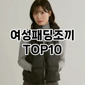 [리뷰리뷰]여성패딩조끼 추천 순위  TOP10 구매가이드 2025년 11월 4주차