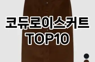 [할인제품]코듀로이스커트 추천 순위  TOP10 구매가이드 2025년 11월 4주차
