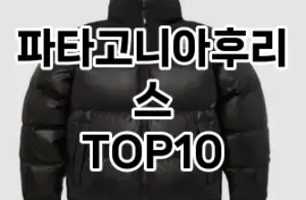 [눌러봐요]파타고니아후리스 추천 순위  TOP10 구매가이드 2025년 11월 5주차