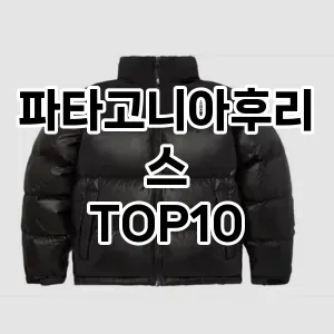 [눌러봐요]파타고니아후리스 추천 순위  TOP10 구매가이드 2025년 11월 5주차
