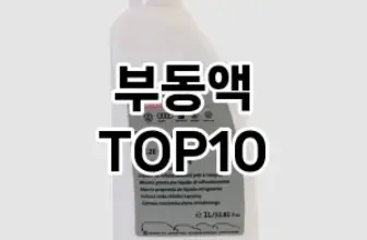 [리얼리뷰]부동액 추천 순위  TOP10 구매가이드 2025년 12월 5주차