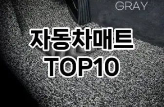 [할인제품]자동차매트 추천 순위  TOP10 구매가이드 2025년 12월 5주차