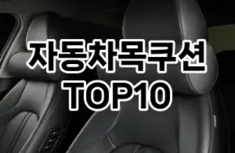 [특가제품]자동차목쿠션 추천 순위  TOP10 구매가이드 2025년 12월 5주차