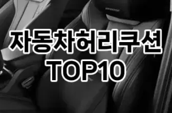 [리뷰리뷰]자동차허리쿠션 추천 순위  TOP10 구매가이드 2025년 12월 5주차