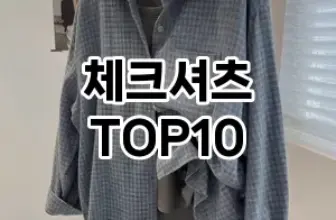[할인추천]체크셔츠 추천 순위  TOP10 구매가이드 2026년 1월 1주차2024년 | BEST상품 | 가격 비교