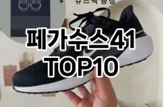 [특가소개]페가수스41 추천 순위  TOP10 구매가이드 2025년 12월 2주차