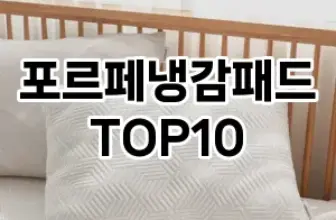 [특가제품]포르페냉감패드 추천 순위  TOP10 구매가이드 2025년 12월 2주차