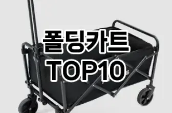 [베스트템]폴딩카트 추천 순위  TOP10 구매가이드 2025년 12월 2주차