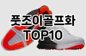 [특가소개]풋조이골프화 추천 순위  TOP10 구매가이드 2025년 12월 2주차
