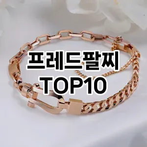 [추천소개]프레드팔찌 추천 순위  TOP10 구매가이드 2025년 12월 2주차