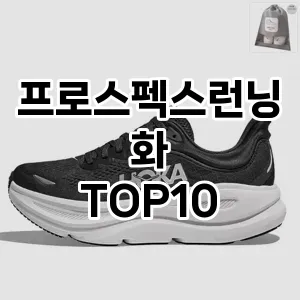 [추천특가]프로스펙스런닝화 추천 순위  TOP10 구매가이드 2025년 12월 2주차