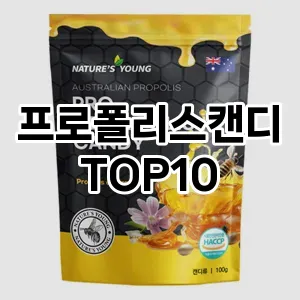[핫딜안내]프로폴리스캔디 추천 순위  TOP10 구매가이드 2025년 12월 2주차