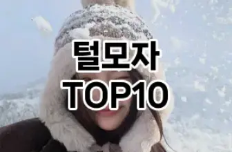 [제품알림]털모자 추천 순위  TOP10 구매가이드 2026년 1월 2주차| 후기 | 가격 정보