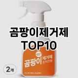 [리뷰리뷰]곰팡이제거제 추천 순위  TOP10 구매가이드 2025년 4월 2주차