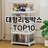 [후기보셈]대형리빙박스 추천 순위  TOP10 구매가이드 2025년 9월 1주차