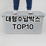 [핫딜안내]대형수납박스 추천 순위  TOP10 구매가이드 2025년 9월 5주차