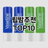 [핫딜안내]립밤추천 추천 순위  TOP10 구매가이드 2025년 8월 2주차