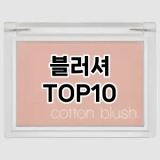 [추천소개]블러셔 추천 순위  TOP10 구매가이드 2025년 4월 1주차