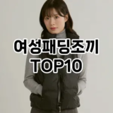 [리뷰리뷰]여성패딩조끼 추천 순위  TOP10 구매가이드 2025년 11월 4주차