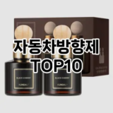 [레알핫템]자동차방향제 추천 순위  TOP10 구매가이드 2025년 10월 1주차