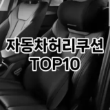 [리뷰리뷰]자동차허리쿠션 추천 순위  TOP10 구매가이드 2025년 12월 5주차