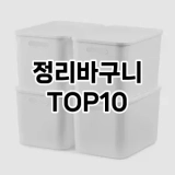 [솔직리뷰]정리바구니 추천 순위  TOP10 구매가이드 2025년 9월 1주차