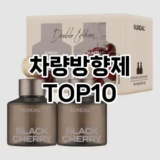 [추천특가]차량방향제 추천 순위  TOP10 구매가이드 2025년 12월 5주차