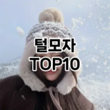 [제품알림]털모자 추천 순위  TOP10 구매가이드 2026년 1월 2주차| 후기 | 가격 정보